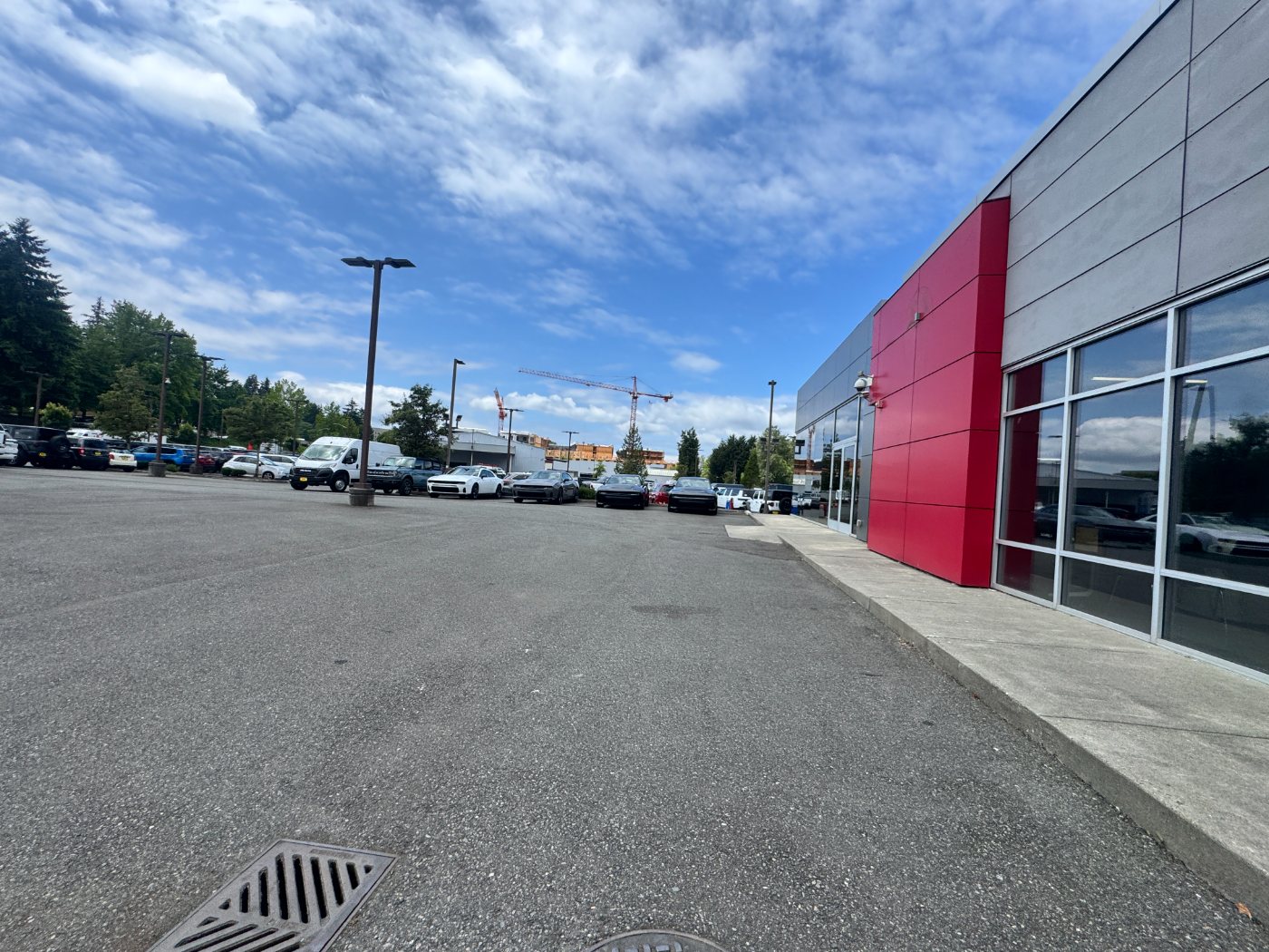 Row of Dodge Chargers at Tims Auto Buyers in Kirkland